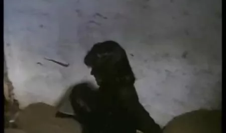 میلی جی داستان شهوانی خانه می شود Hard Fucked Deep
