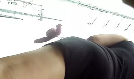 Milf داستان شهوانی فارسی & hottie