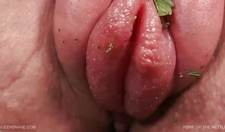 موی بالغ (Kamaster) داستانهای سکسی از شهوانی